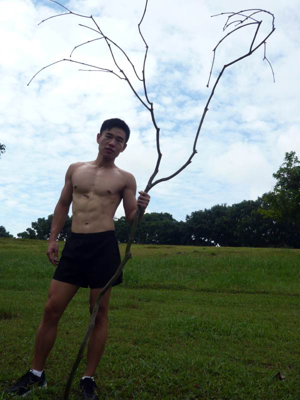 fitness_model_shape_img